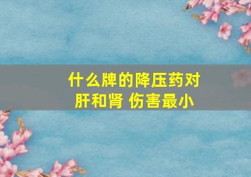 什么牌的降压药对肝和肾 伤害最小